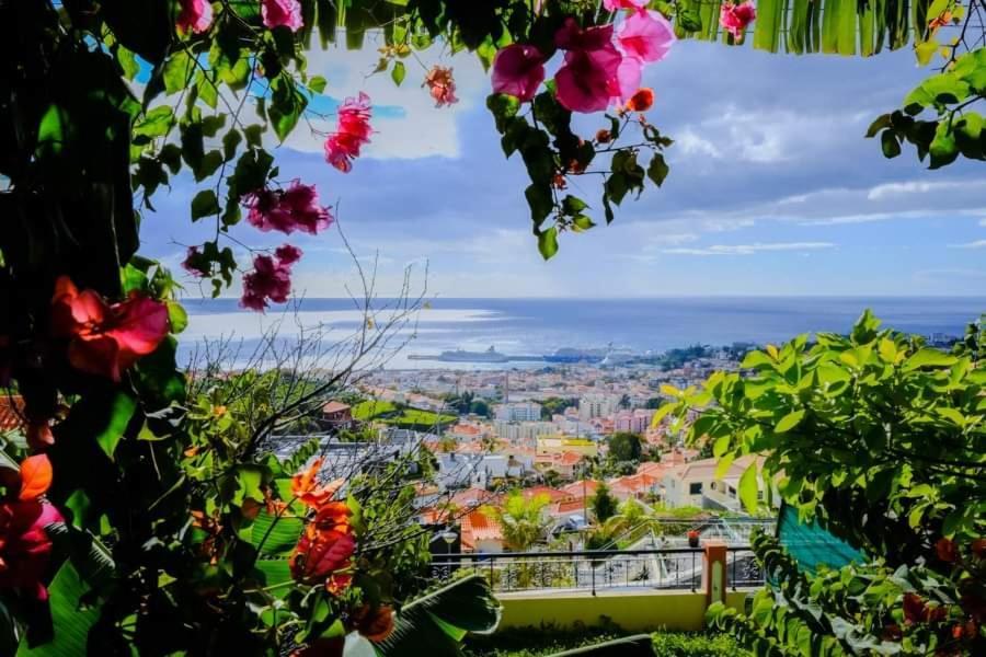 Granny'S House View Villa Funchal  Eksteriør bilde