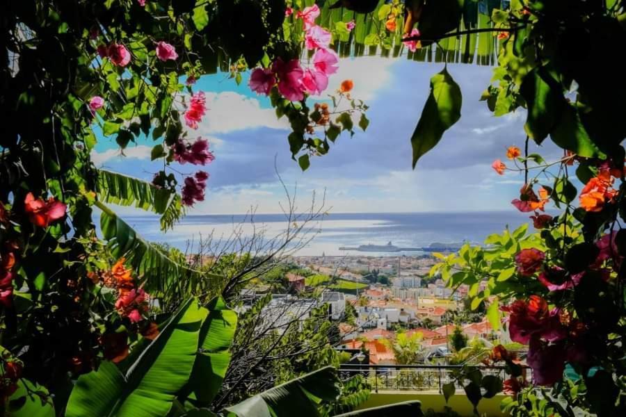 Granny'S House View Villa Funchal  Eksteriør bilde
