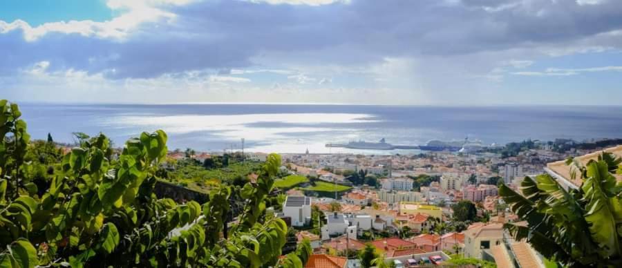 Granny'S House View Villa Funchal  Eksteriør bilde